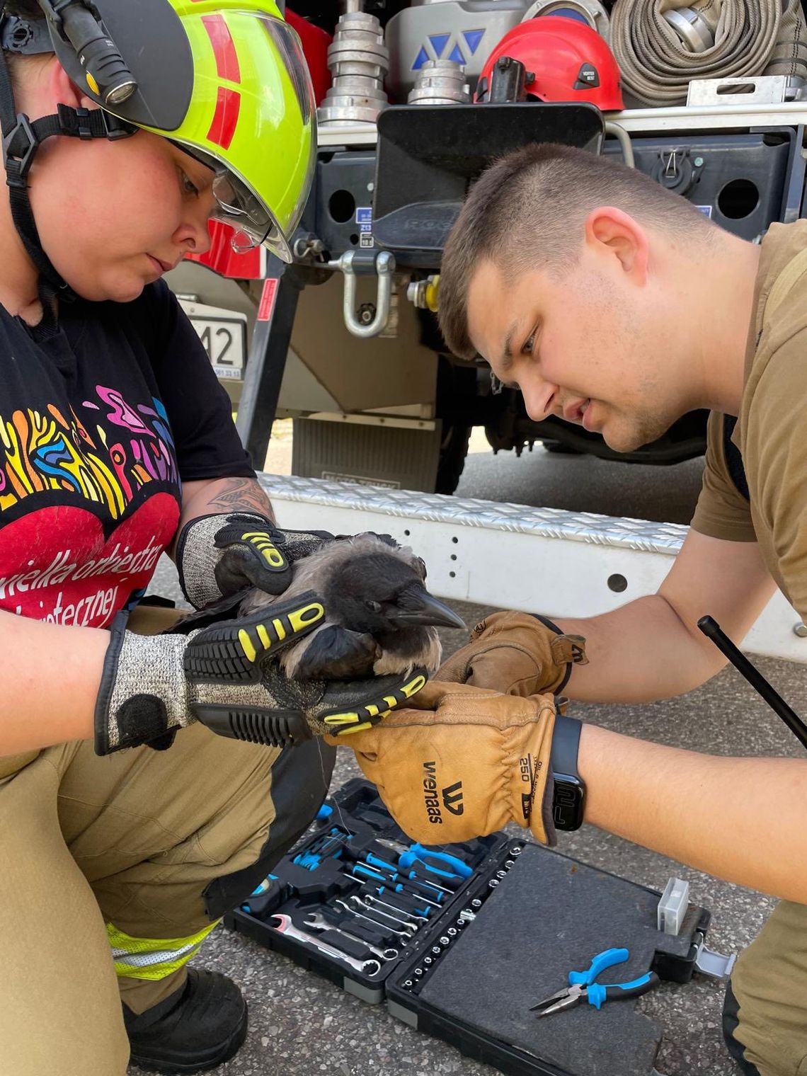 Nie zostawiajcie po sobie śmiercionośnych pułapek! - apelują strażacy, ratując uwięzionego ptaka Nie zostawiajcie po sobie śmiercionośnych pułapek! - apelują strażacy, ratując uwięzionego ptaka