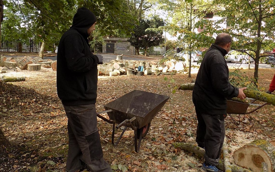 Niebezpiecznie w parku - list czytelnika z Gryfina Niebezpiecznie w parku - list czytelnika z Gryfina