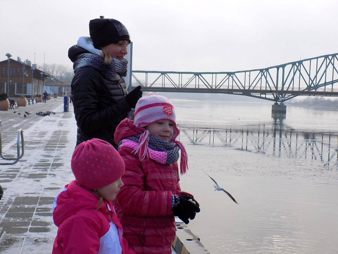 Niedzielny rekonesans