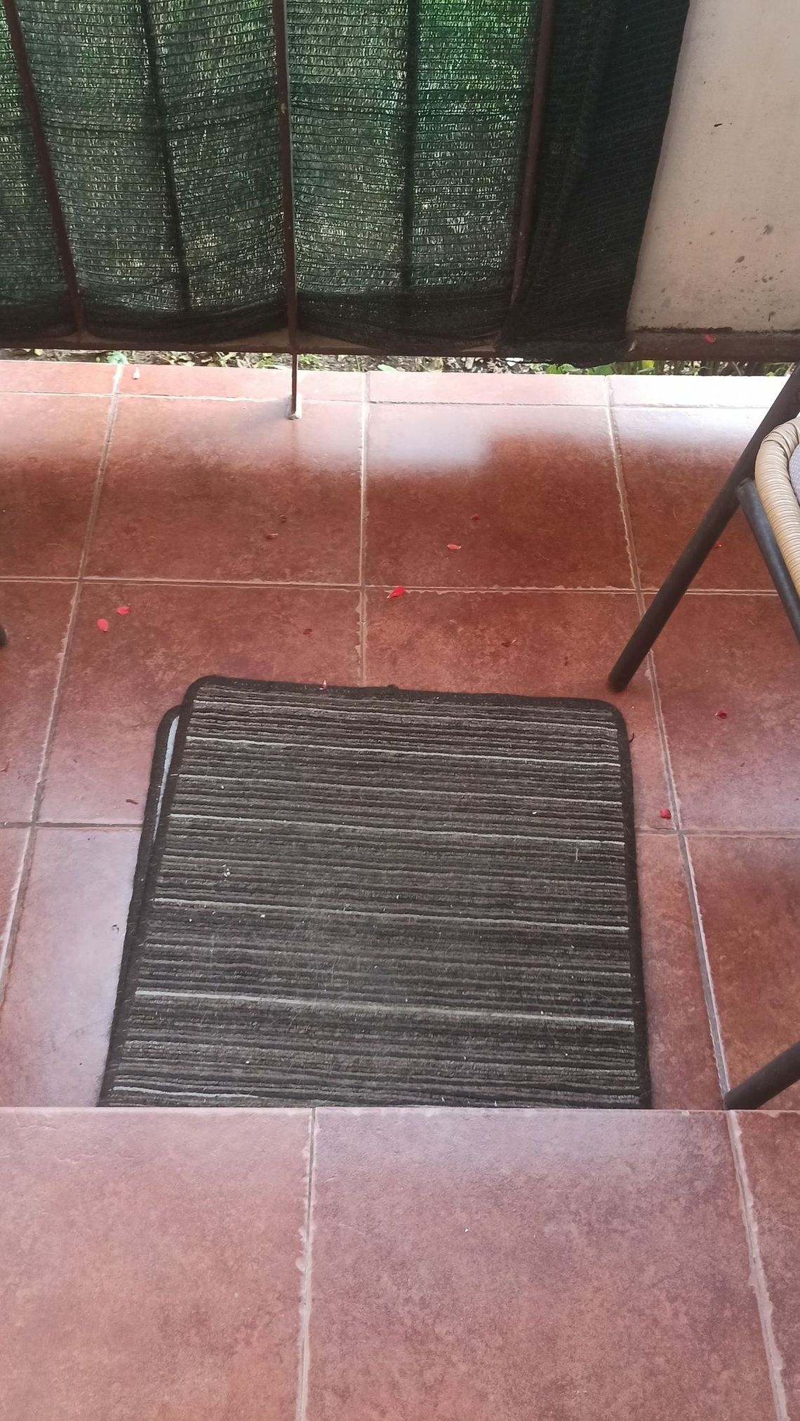 Nieporozumienia ze spółdzielnią niczym w serialu ,,Alternatywy 4" Nieporozumienia ze spółdzielnią niczym w serialu ,,Alternatywy 4"