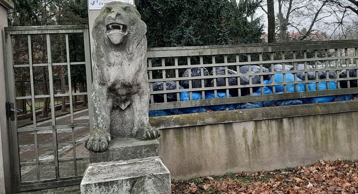 Nieporządki w Gryfinie rażą mieszkańców