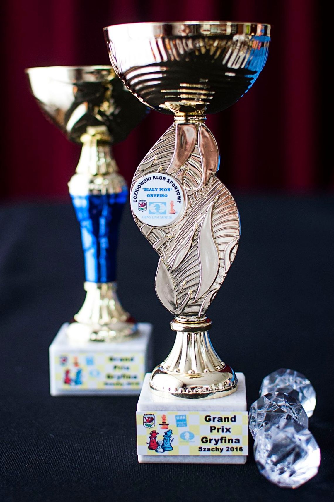 Niespodzianka na Dni Gryfina