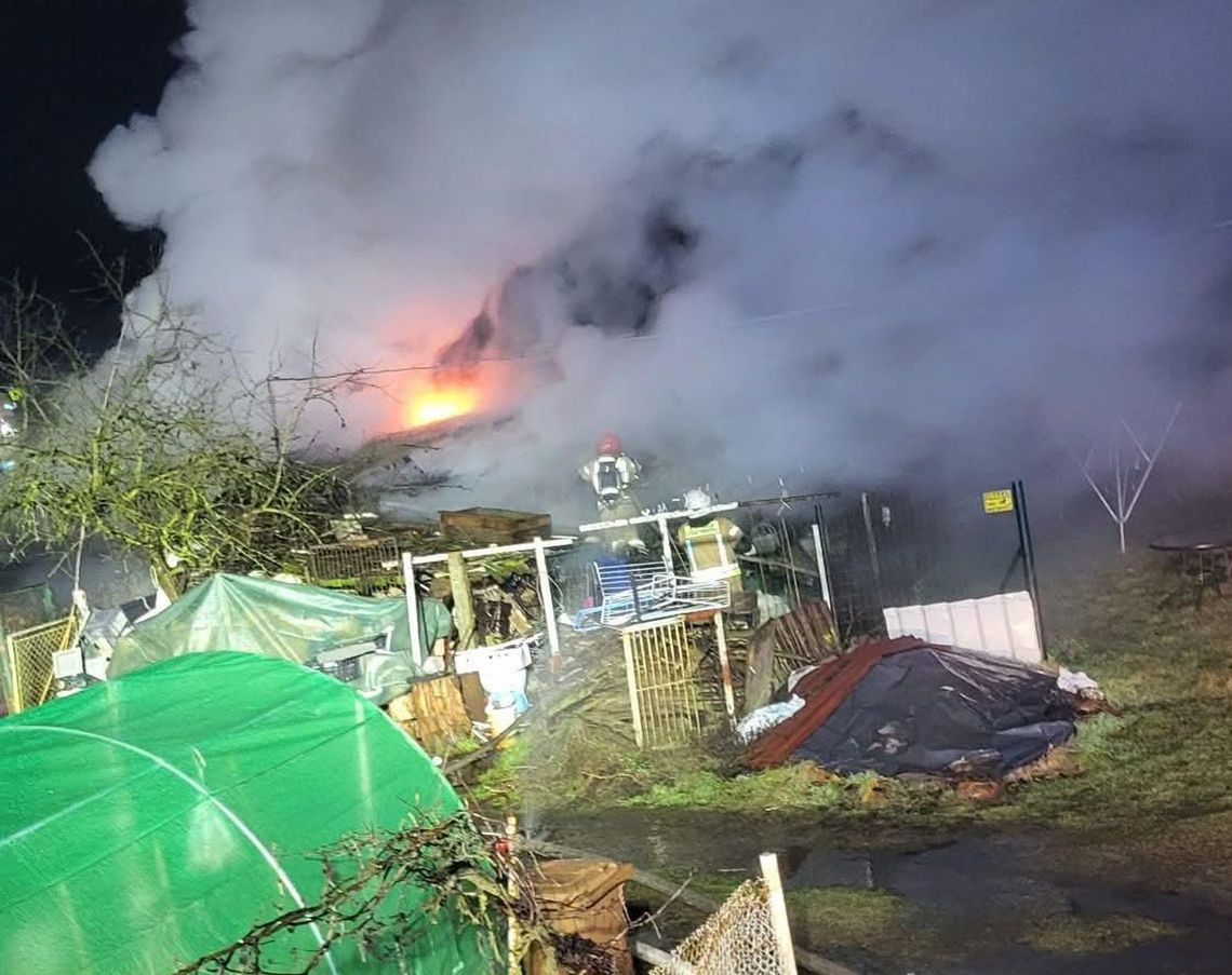 Nocna walka z żywiołem. Pożar postawił służby na nogi