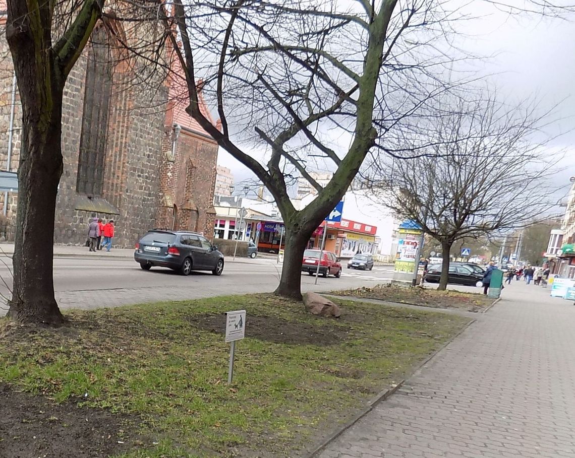 Noś przy sobie, bo nie wiesz, kiedy się przyda Noś przy sobie, bo nie wiesz, kiedy się przyda