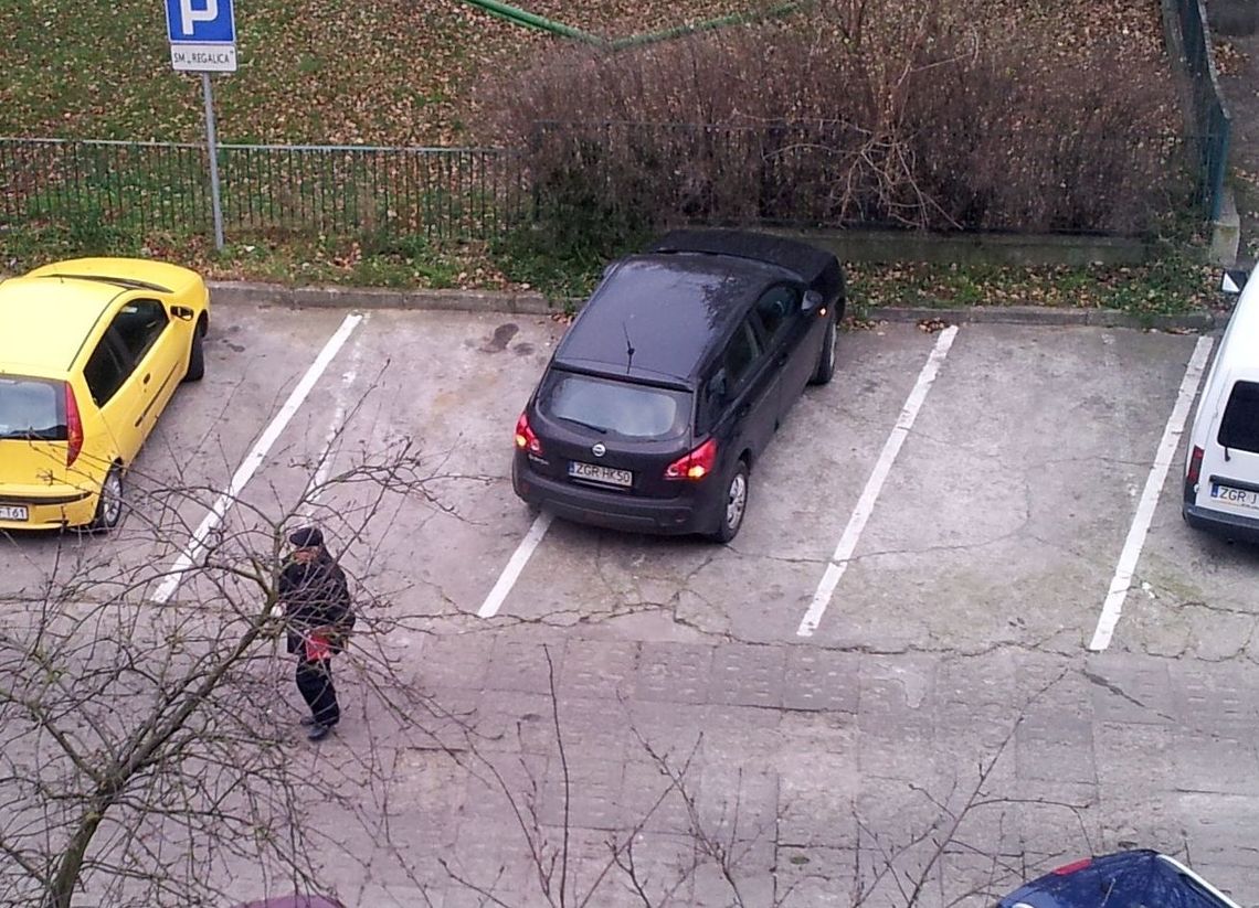 Nowy radny mistrzem parkowania Nowy radny mistrzem parkowania