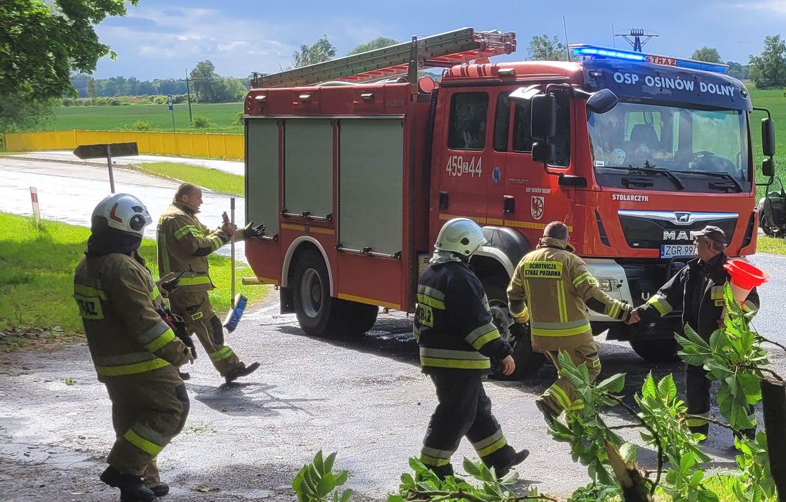 Nowy sprzęt płynie do jednostek OSP w powiecie gryfińskim. Co dostali i za ile?