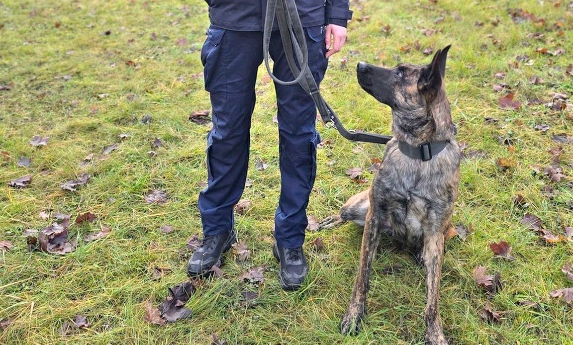 Nowy, wyjątkowy funkcjonariusz w gryfińskiej komendzie. Walka melduje się do służby!