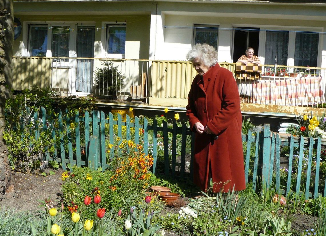 O co dba pani Jarocka O co dba pani Jarocka