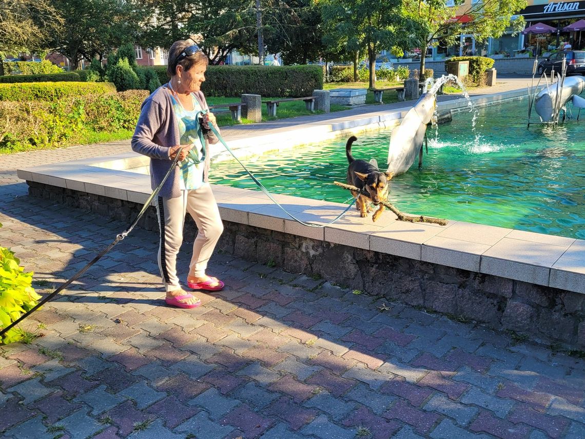 O psie, który lubi się kąpać