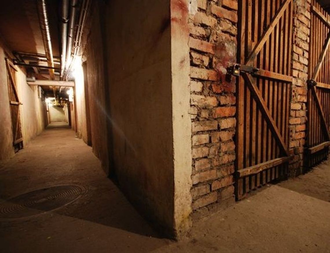 Obłowił się włamując się do piwnicy. Jest na to sposób Obłowił się włamując się do piwnicy. Jest na to sposób