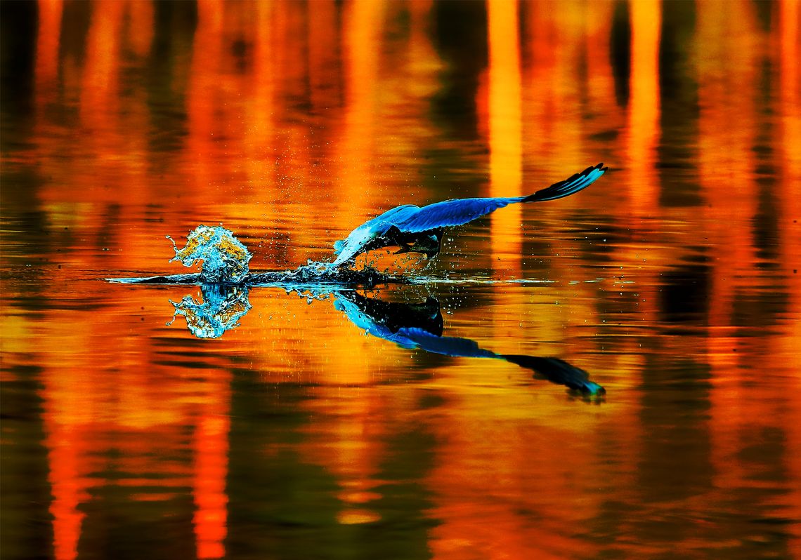 Odkrywa w sobie kolejne zainteresowania przyrodnicze