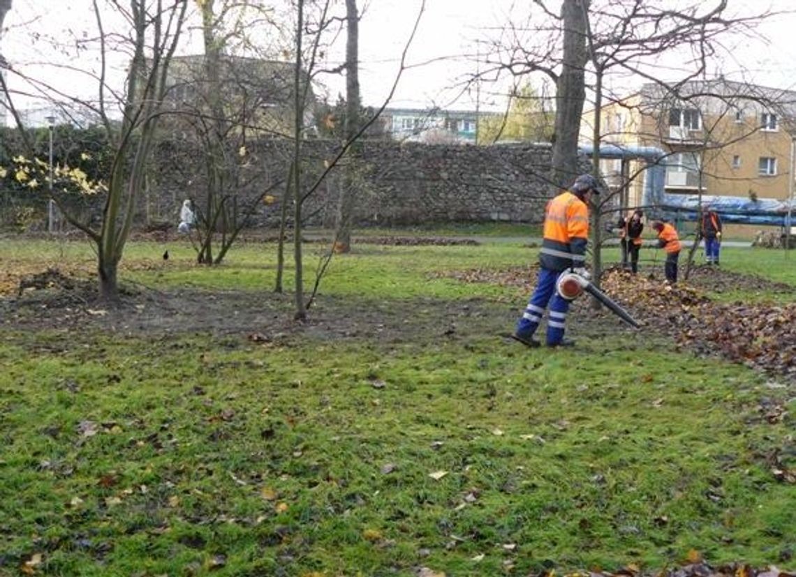 Odkurzyć można także w ogrodzie Odkurzyć można także w ogrodzie