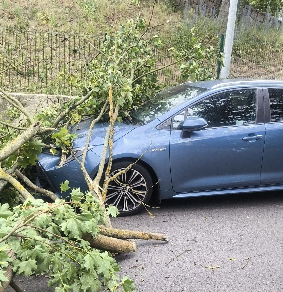 Odłamany konar spadł na samochód