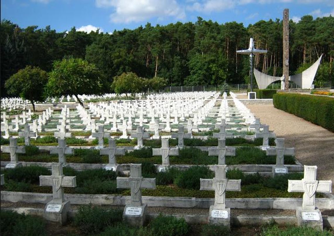 Odnawiają krzyże na cmentarzu wojennym Odnawiają krzyże na cmentarzu wojennym
