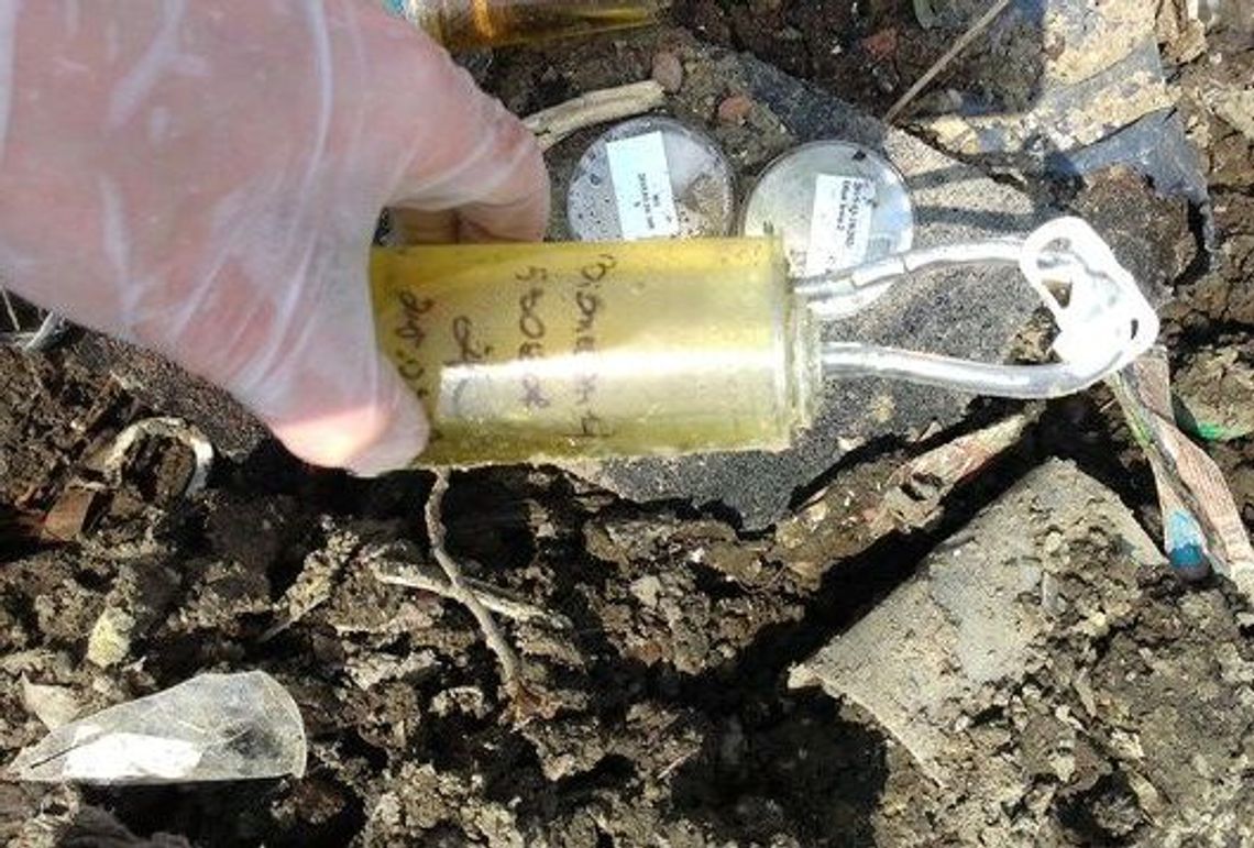 Odpady zagrażające zdrowiu i życiu w Cedyńskim Parku Krajobrazowym Odpady zagrażające zdrowiu i życiu w Cedyńskim Parku Krajobrazowym