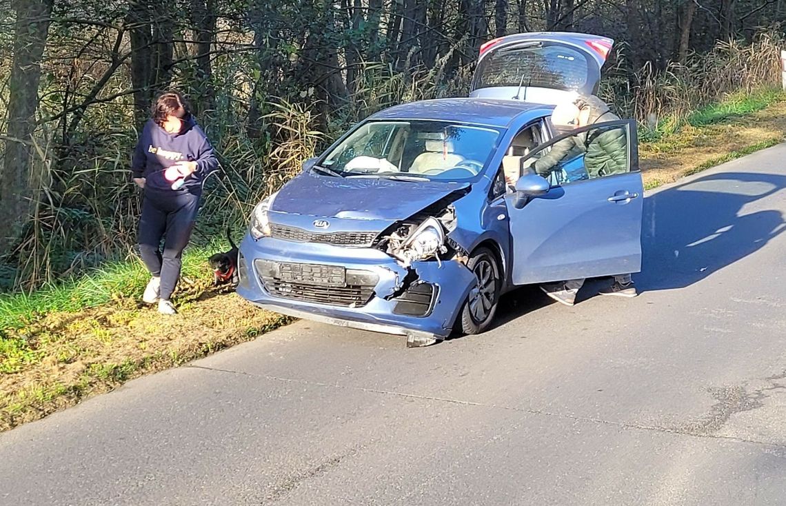 Ogromy dzik wpadł prosto pod koła. Kierowcy, uważajcie na zwierzęta!