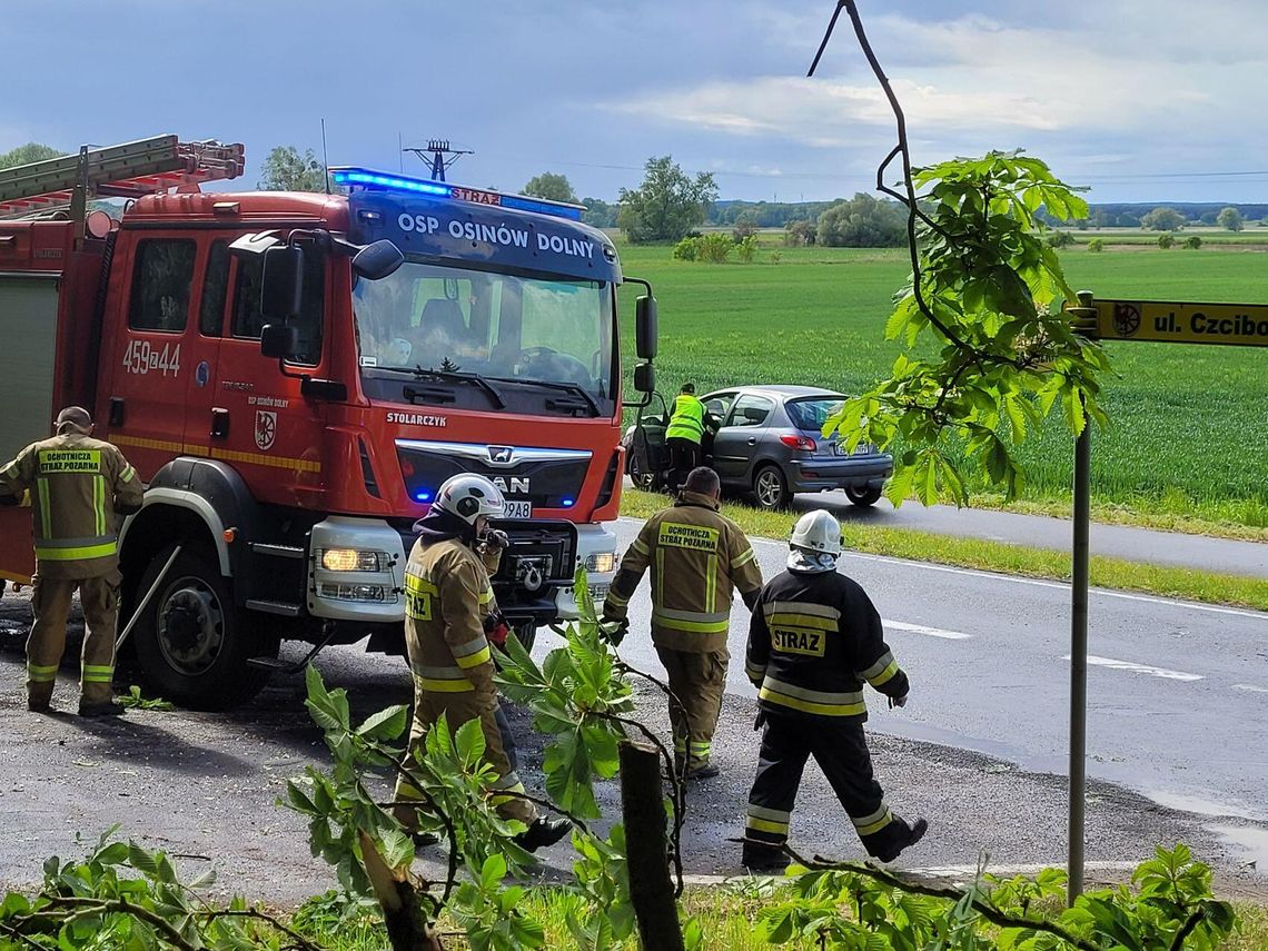 Omijał powalone drzewo. Zderzył się z innym autem [ZDJĘCIA]
