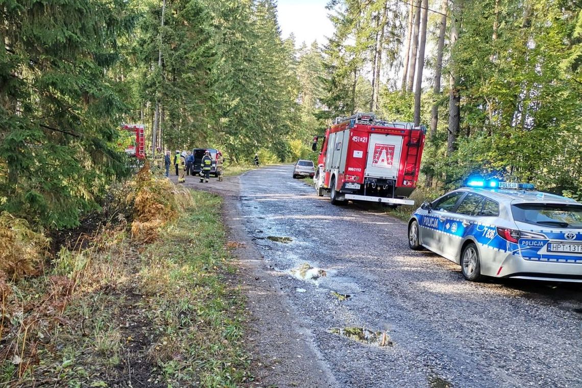 Opady przystopują pożary? Dużo wyjazdów do powalonych drzew Opady przystopują pożary? Dużo wyjazdów do powalonych drzew
