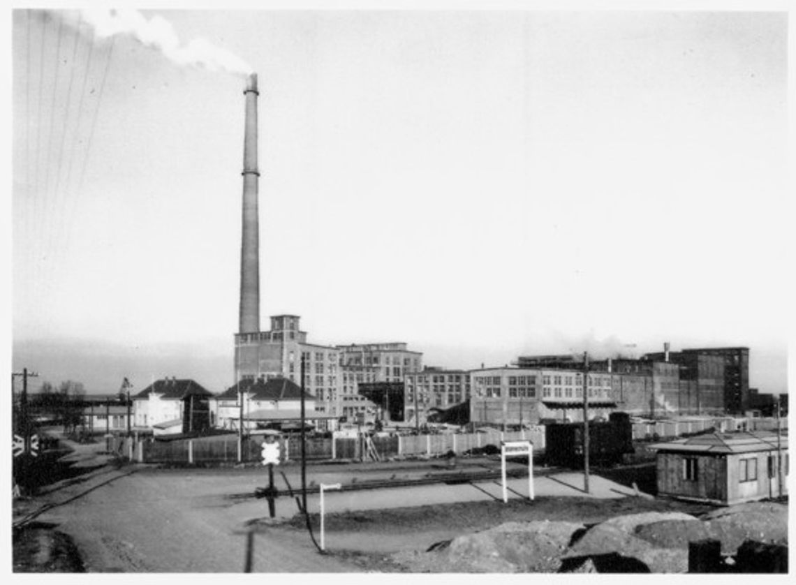 Osinów Dolny na dawnej fotografii Osinów Dolny na dawnej fotografii