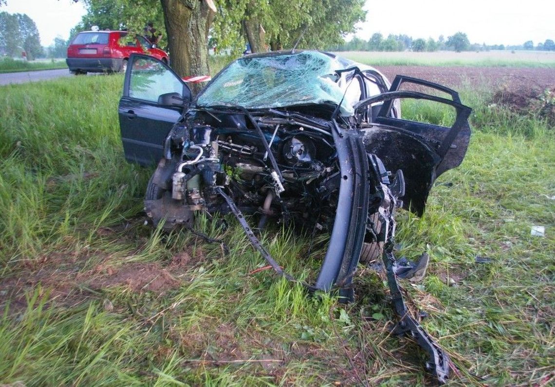 Otarły się o tragedię. Kierująca Fordem uderzyła w drzewo unikając zderzenia ze zwierzęciem Otarły się o tragedię. Kierująca Fordem uderzyła w drzewo unikając zderzenia ze zwierzęciem