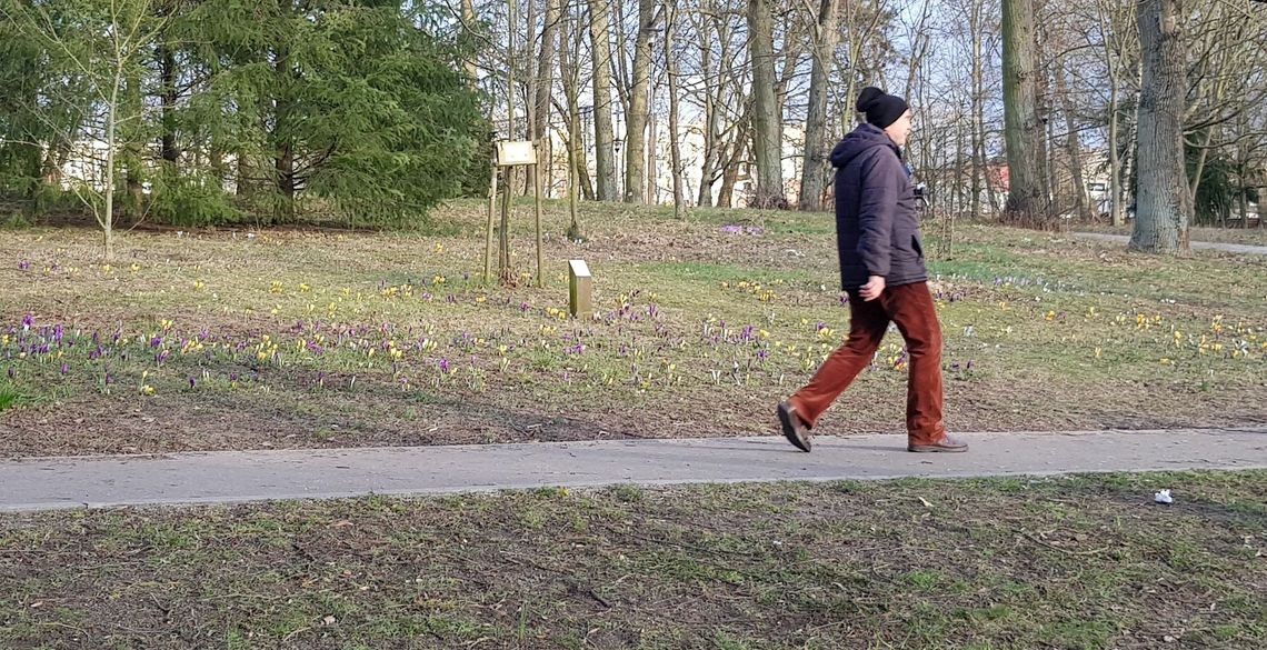 Oznaki wiosny już widoczne Oznaki wiosny już widoczne