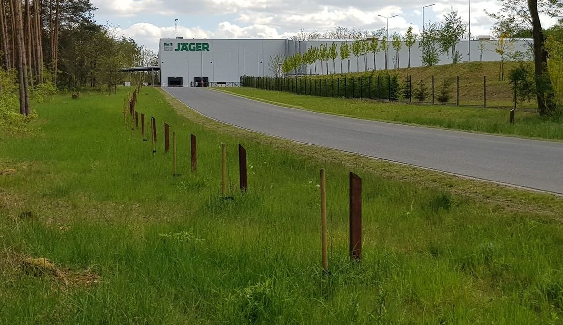 Panie Sawaryn, zadbaj pan o drzewka nowonarodzonych dzieci! Panie Sawaryn, zadbaj pan o drzewka nowonarodzonych dzieci!