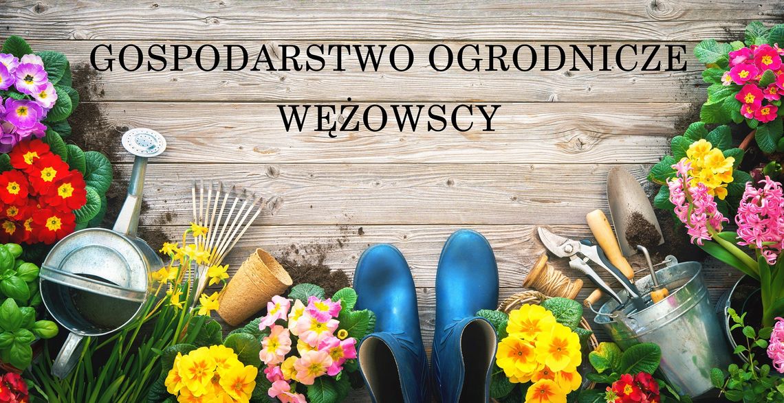 Państwo Wężowscy dziękują za pomoc i poparcie Państwo Wężowscy dziękują za pomoc i poparcie