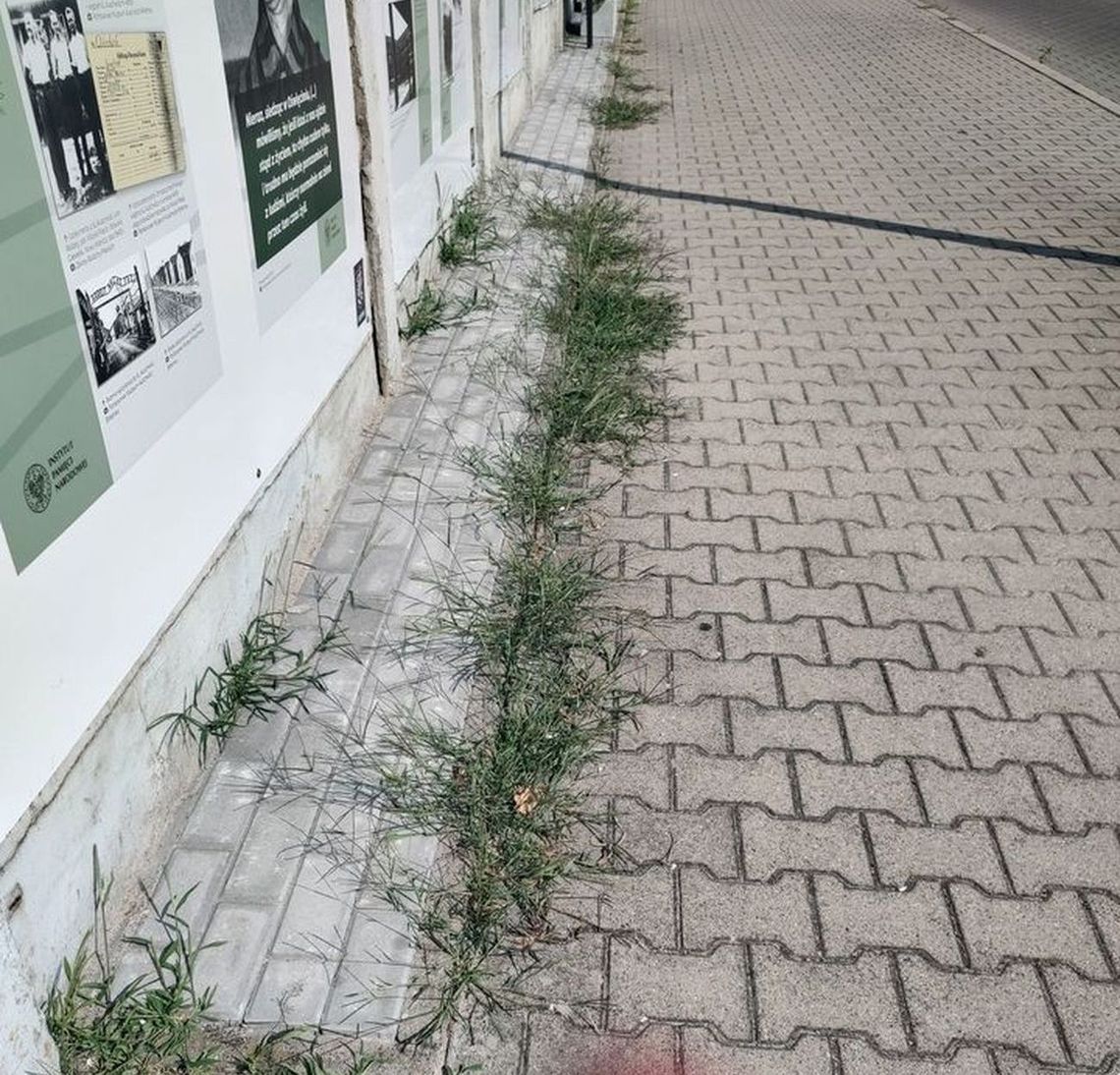 Patriotyczny mural w chwastach