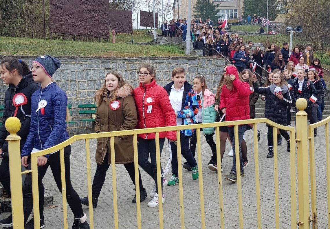 Patriotyczny przemarsz bez obstawy policji ze względu na „psią grypę”?