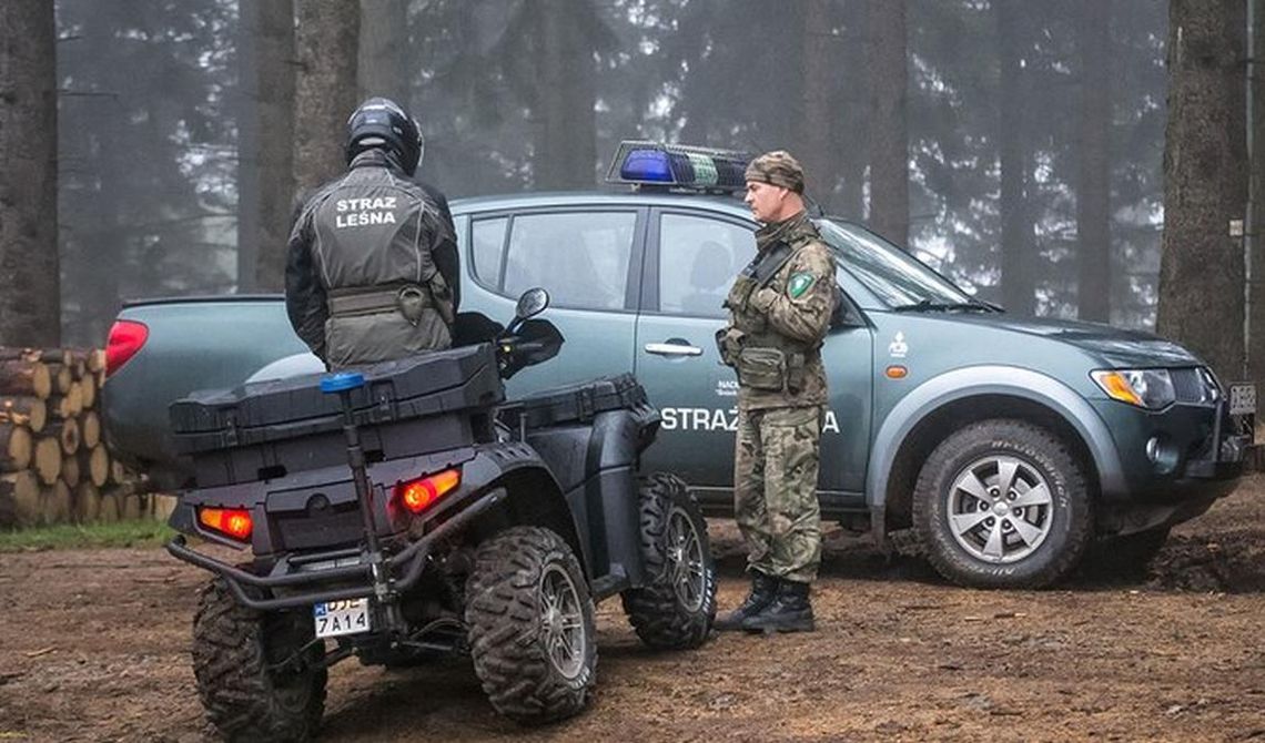 W lasach sprawdzają. Lista zadań leśnych patroli jest długa