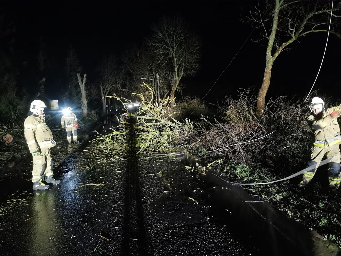 Pechowa "13" związana jest z wichurą Pechowa "13" związana jest z wichurą