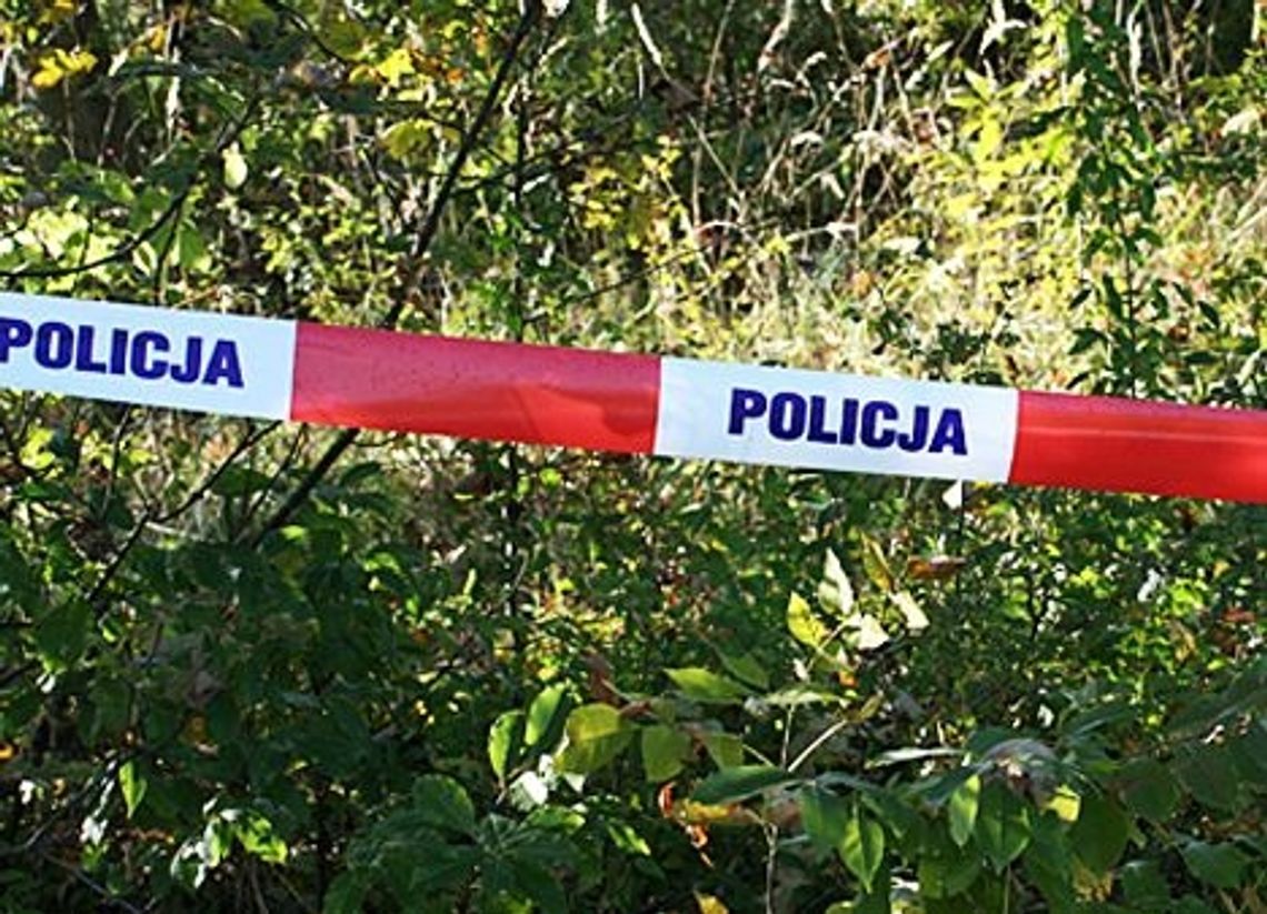 Pedofil zaatakował dziecko w parku Pedofil zaatakował dziecko w parku