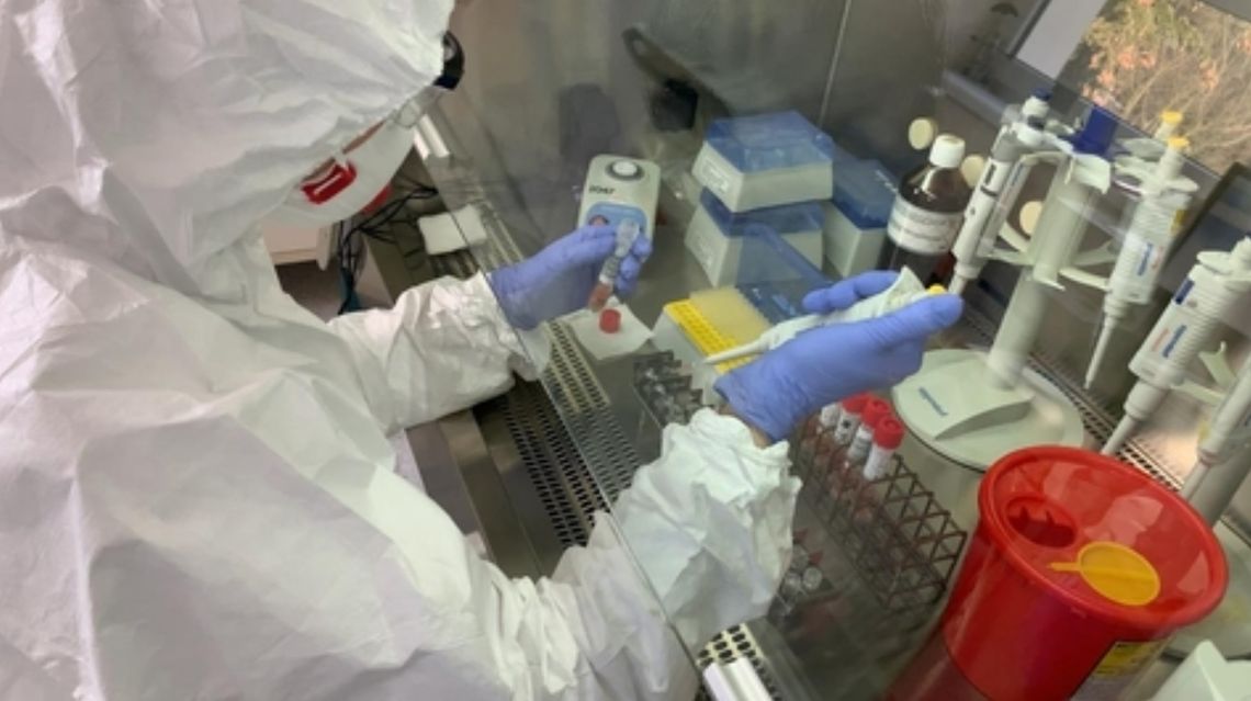 Pięć kobiet zakażonych dzisiaj koronawirusem. Wśród nich mieszkanka powiatu gryfińskiego 