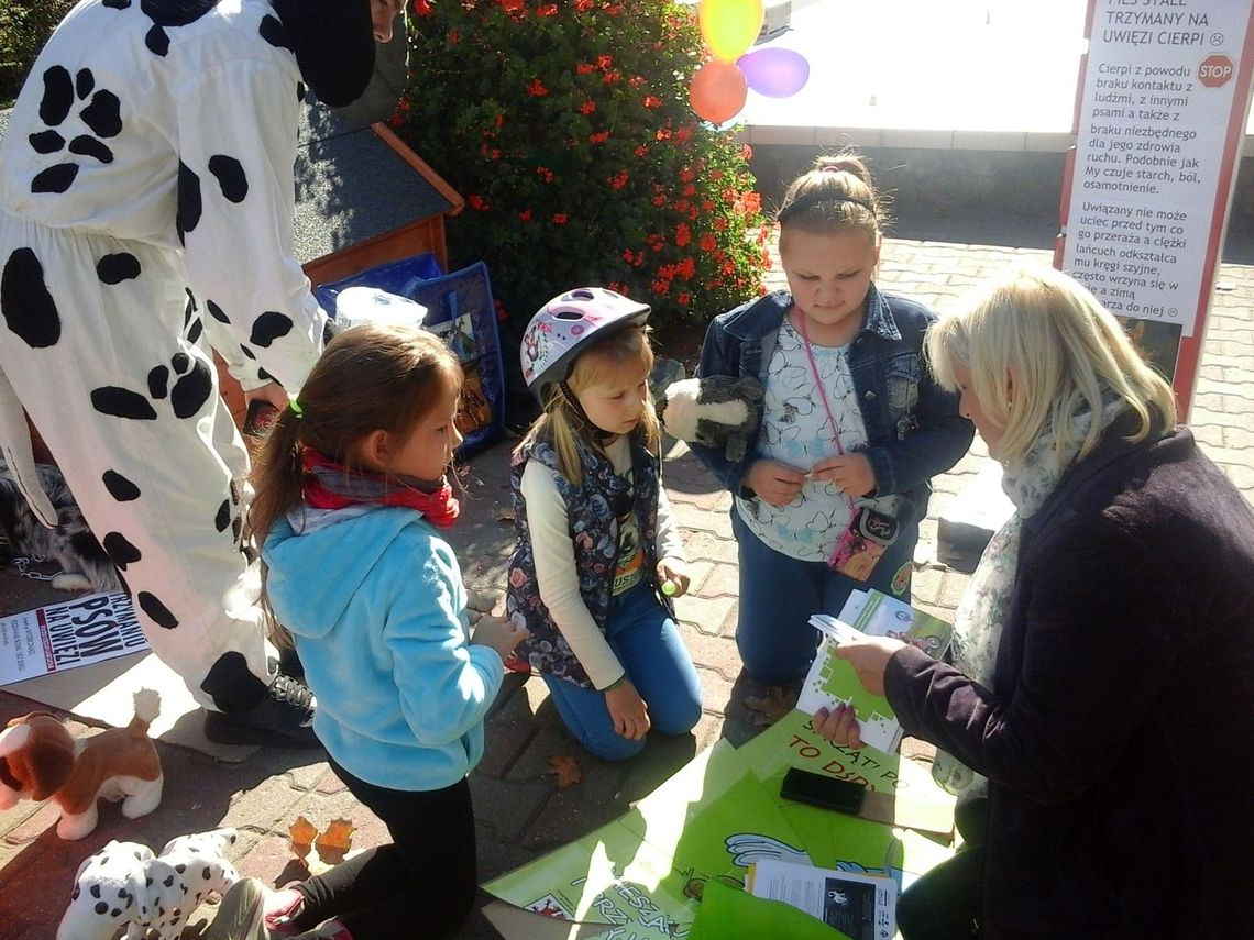 Pies to nie przedmiot, a żywa, czująca istota