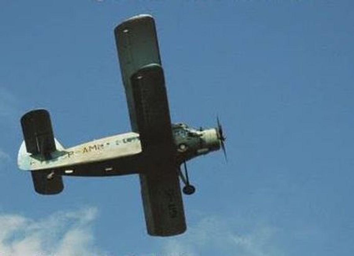 Piknik modelarski –pokazy i wyścigi Piknik modelarski –pokazy i wyścigi