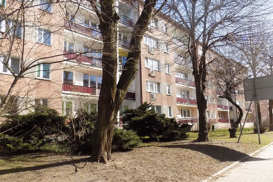 Piszą i czekają na reakcję Piszą i czekają na reakcję