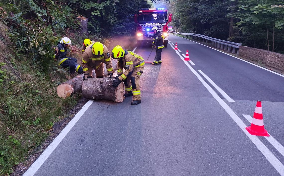 Plaga fałszywych alarmów. Drzewa blokowały drogi Plaga fałszywych alarmów. Drzewa blokowały drogi