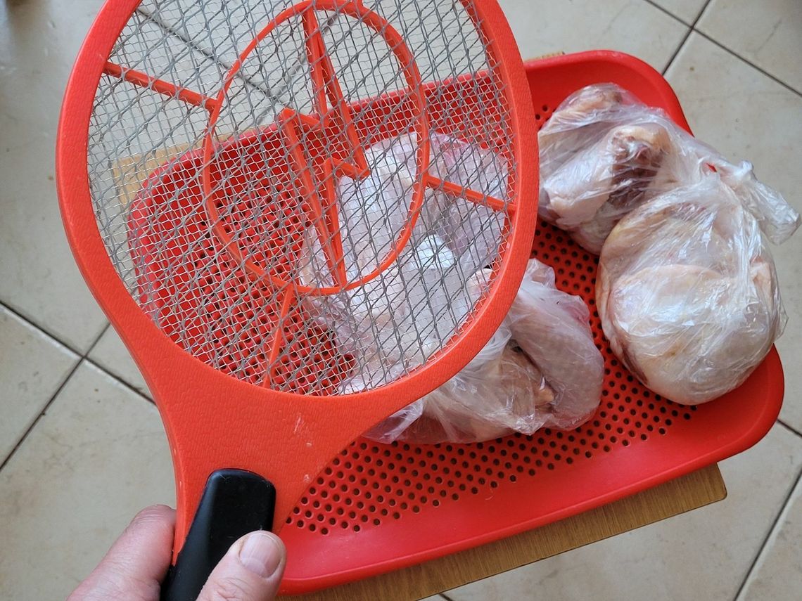 Plaga much i komarów nawiedziła Gryfino Plaga much i komarów nawiedziła Gryfino