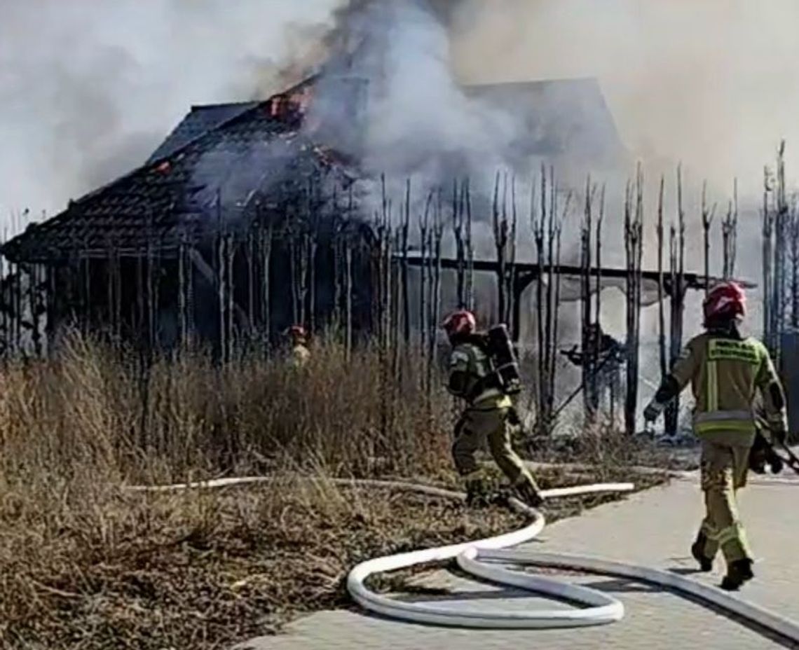 Plaga pożarów traw w powiecie gryfińskim. Raport straży pożarnej z przełomu marca i kwietnia 2026