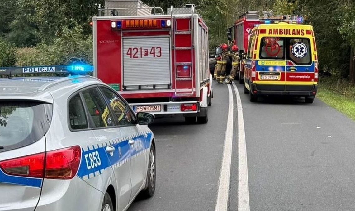 Plagą są plamy na drogach. Raport straży z poczynań w powiecie gryfińskim Plagą są plamy na drogach. Raport straży z poczynań w powiecie gryfińskim
