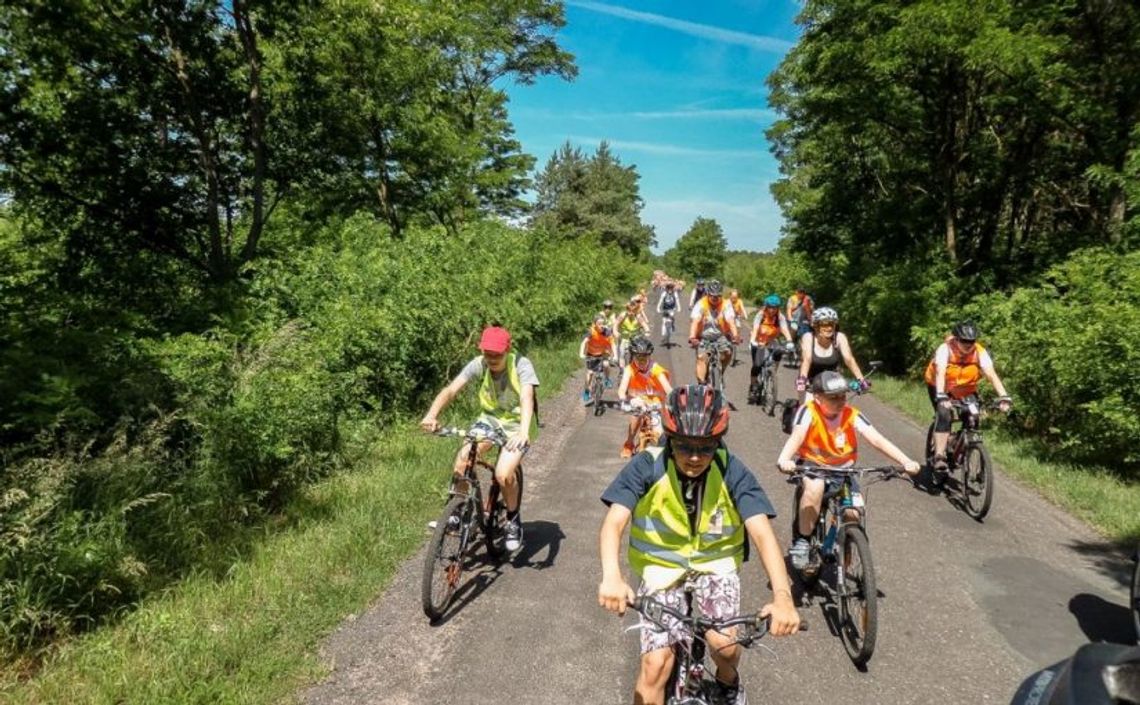 Planują podróż do Tajemniczych Kręgów Planują podróż do Tajemniczych Kręgów