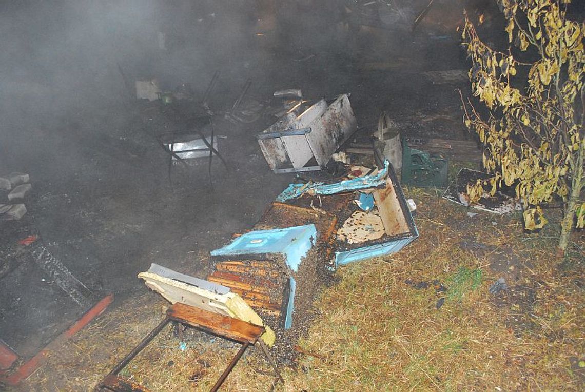 Płonęła pasieka Płonęła pasieka