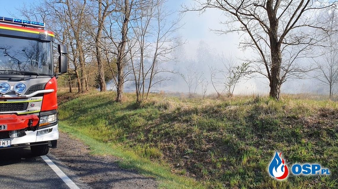 Płonęły trawy przy głównej drodze