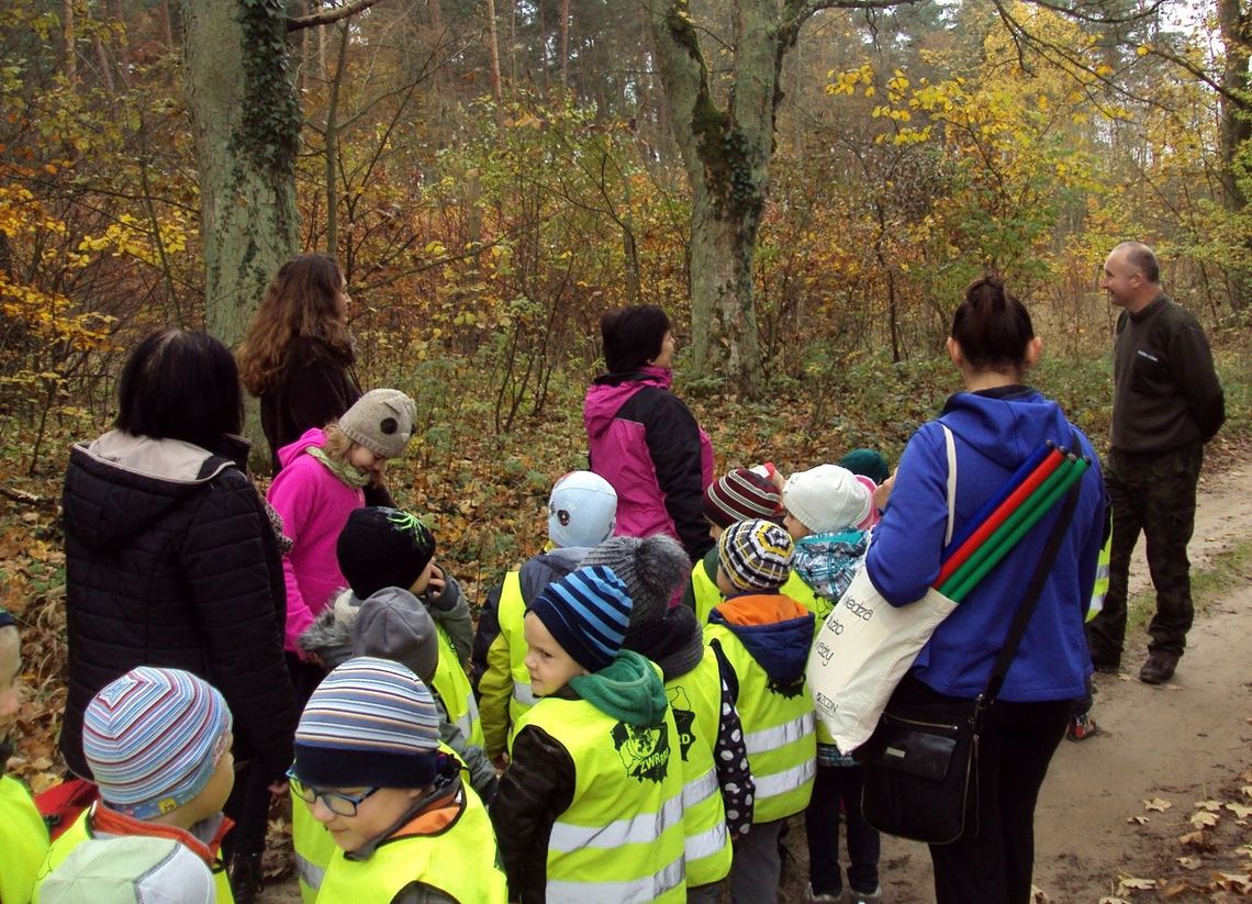 Po co one poszły do tego lasu Po co one poszły do tego lasu