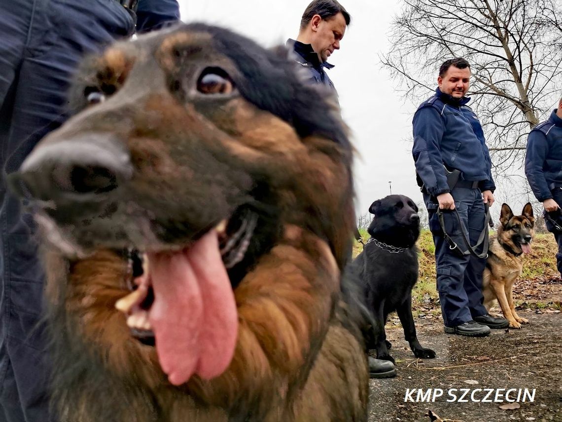 Po co przyjmują do policji czteronogich funkcjonariuszy? Po co przyjmują do policji czteronogich funkcjonariuszy?