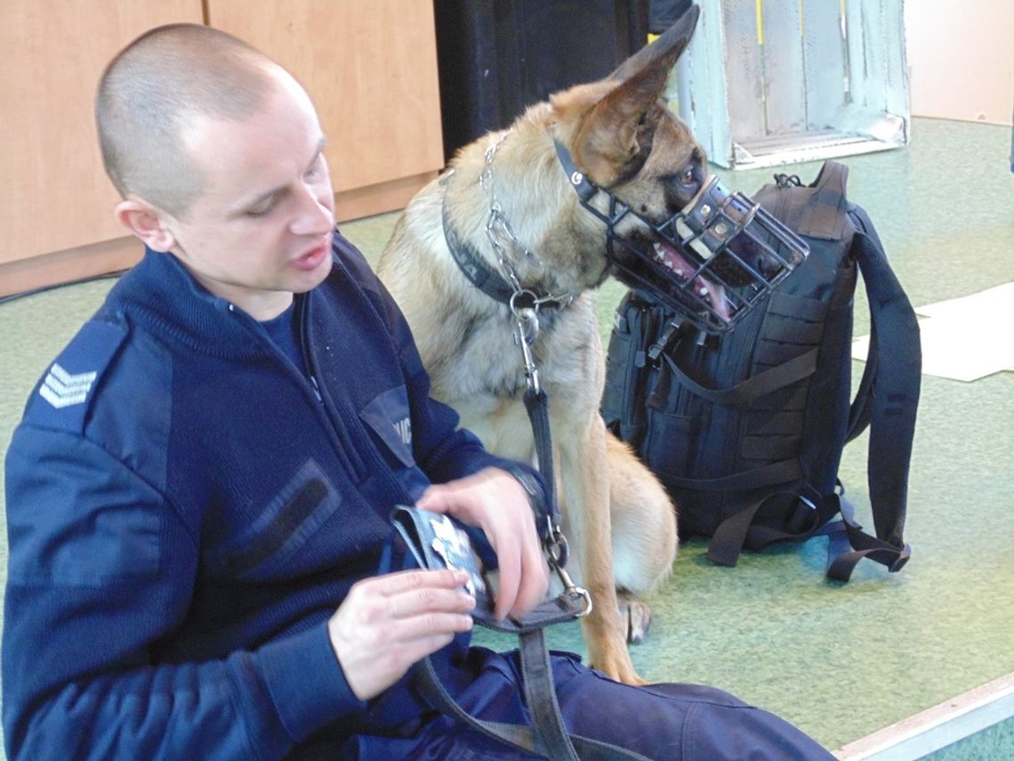 Po co psy pracują w policji i czym dokładnie się zajmują?