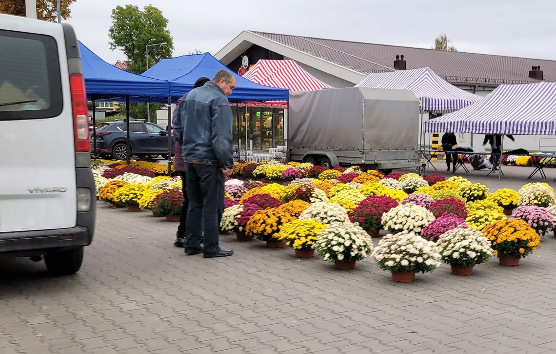Po ile kwiaty na południu powiatu