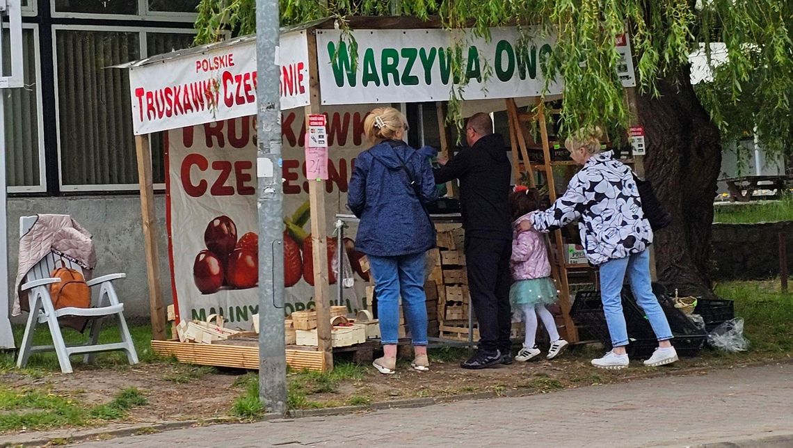Po ile truskawki po ostatnich mrozach? Czym różnią się polskie truskawki od zagranicznych