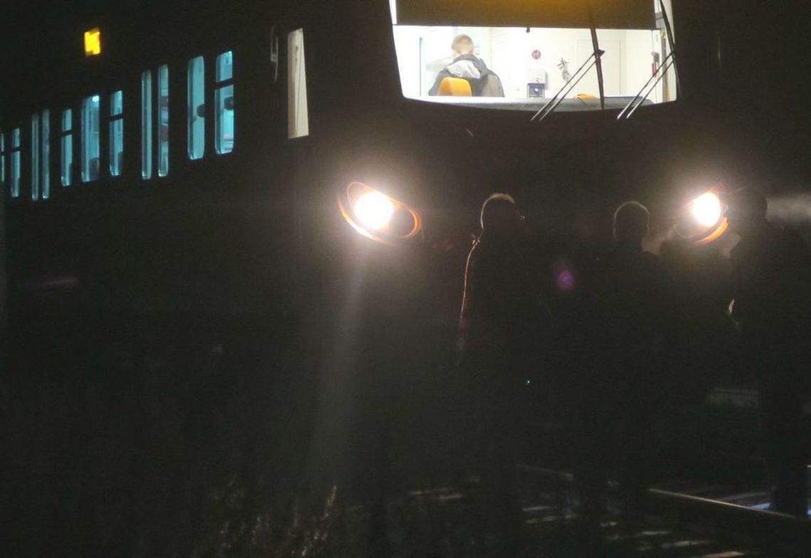 Pociąg potrącił konia. Kolej żąda odszkodowań za straty spowodowane przez zwierzęta gospodarskie