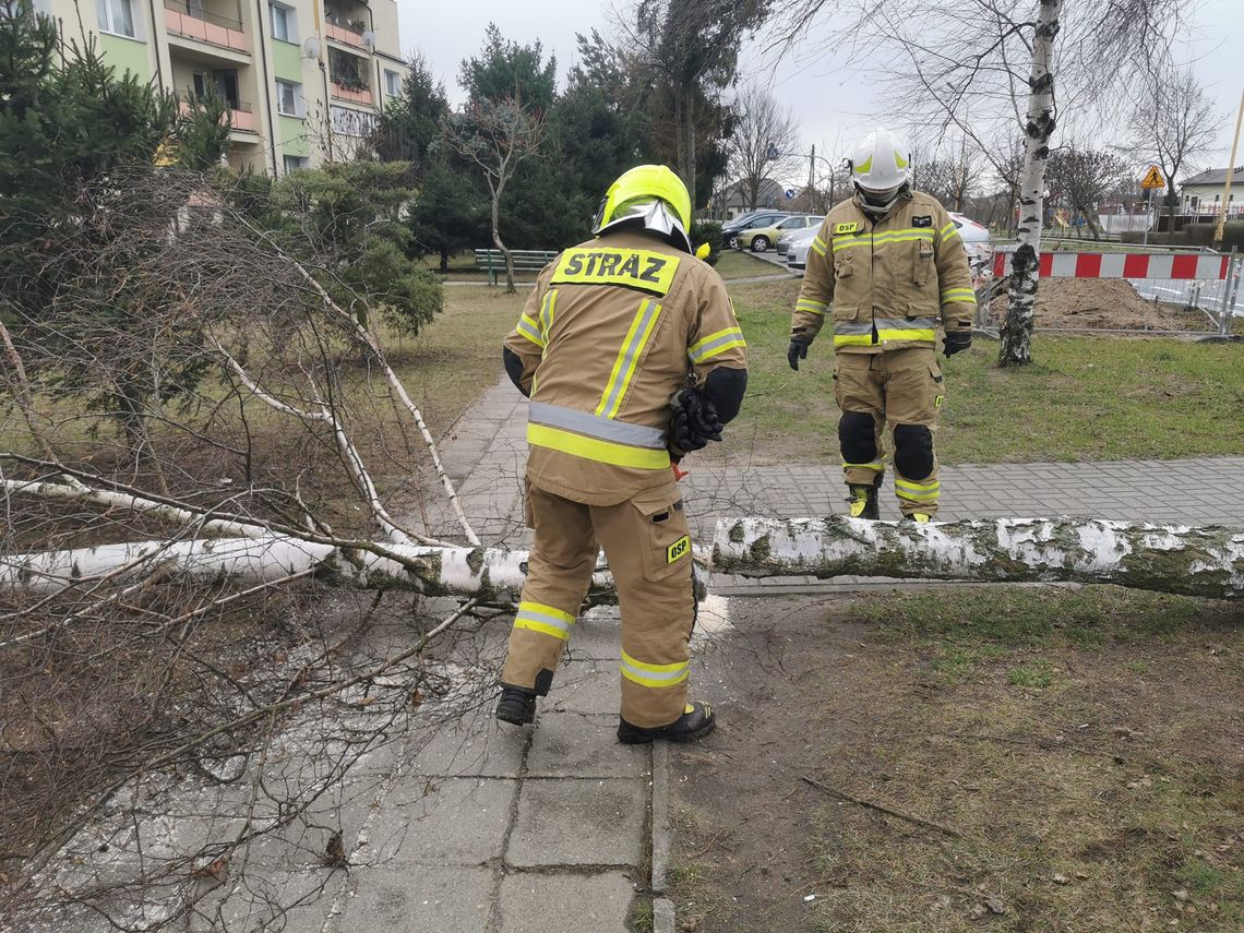 Podłączają agregaty. Dowożą wodę beczkowozami Podłączają agregaty. Dowożą wodę beczkowozami